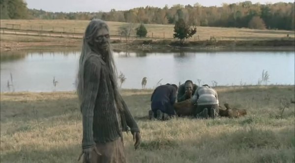 行尸走肉网络剧 第二季(The Walking Dead We