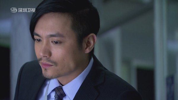 无懈可击之高手如林_无懈可击之高收入林(2)