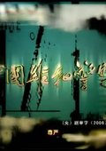 中国维和警察 海报