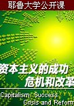 资本主义的成功、危机和改革 海报
