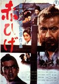 红胡子 海报