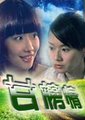 甘榜情海报