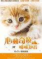 小猫奇缘