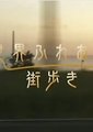 NHK：走向世界友谊之街