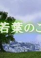 若叶时代
