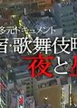 NHK：多元纪实 歌舞伎町的夜与昼