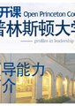 领导能力简介
