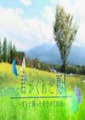 你给我的夏天 海报