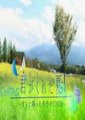 你给我的夏天海报