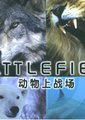动物杀戮战场