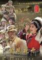 金凤花开海报