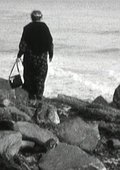 若雾有根 海报