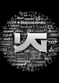 YG Family Concert in Japan