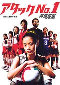 女排No.1 海报