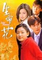 生命花海报