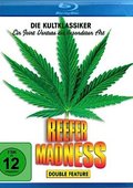 大麻狂热 海报