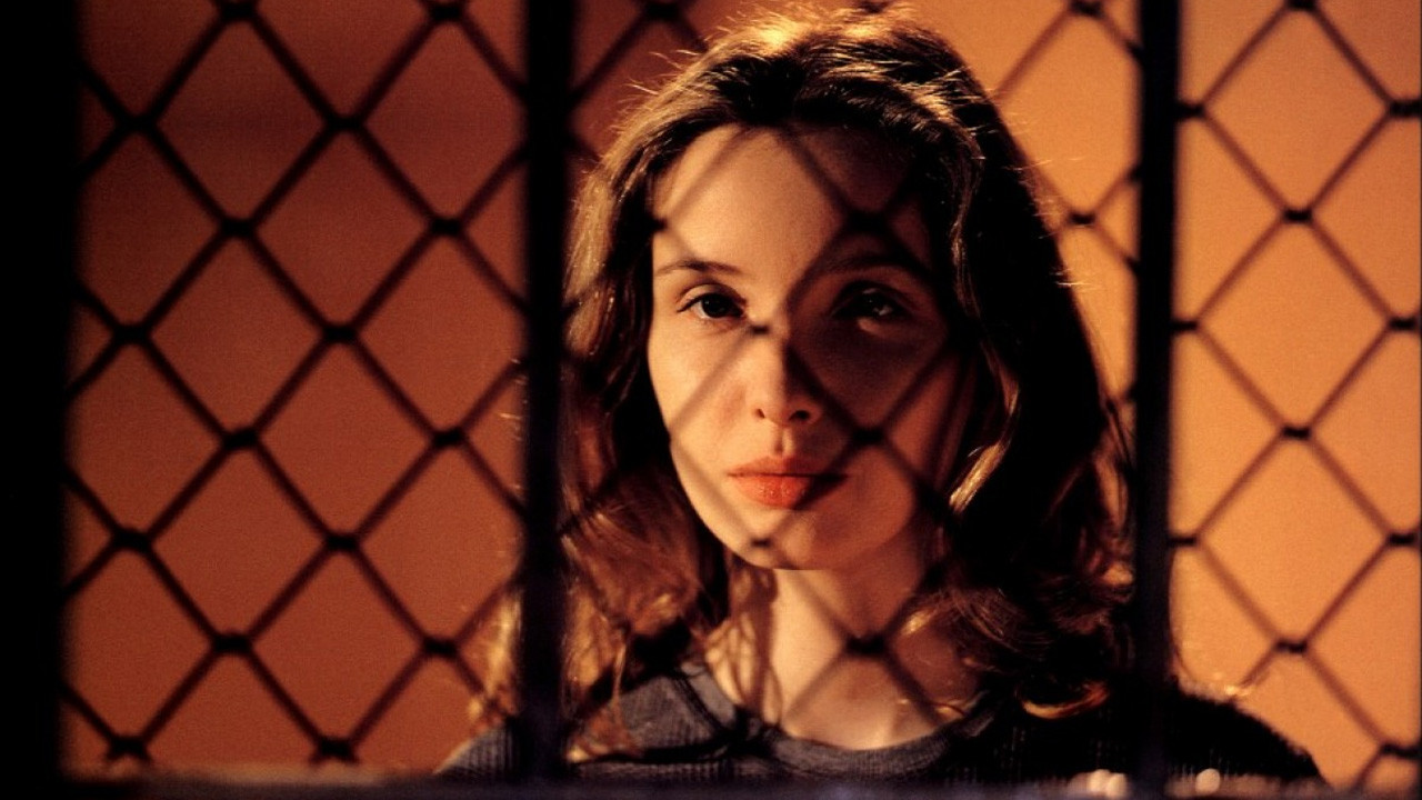 蓝、白、红图片