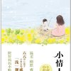 小情人