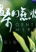 温柔的慈悲 海报