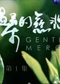 温柔的慈悲海报