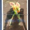 张国荣 跨越97演唱会DVD(原装进口/港)