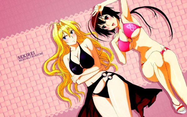<em>鹡鸰女神 第一季</em>(Sekirei) - 动漫图片 | 图片下载
