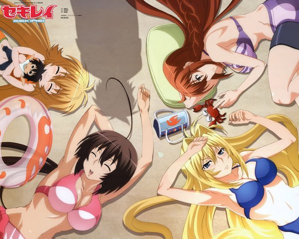 <em>鹡鸰女神 第一季</em>(Sekirei) - 动漫图片 | 图片下载