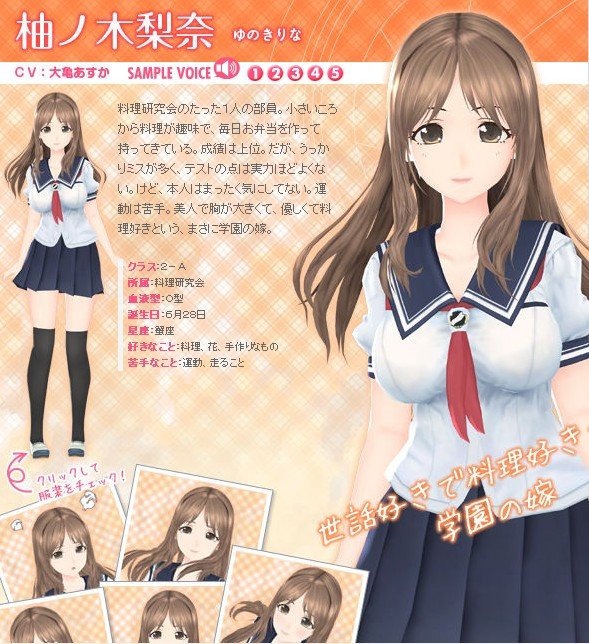 《写真女友》[日文破解版][光盘镜像][psp]