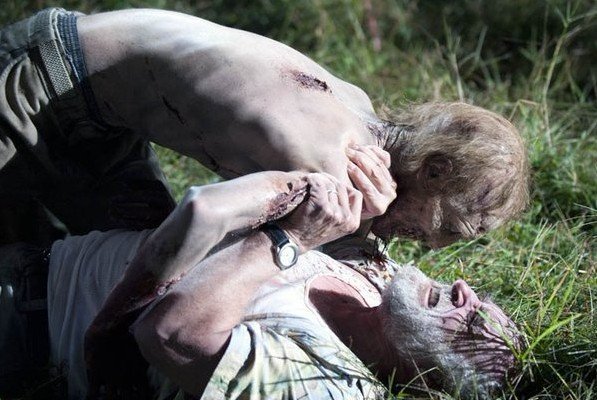 行尸走肉 第二季(the walking dead season 2) - 