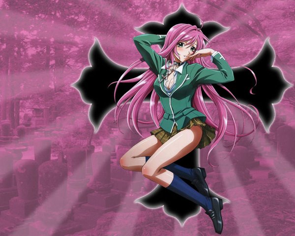 十字架与吸血鬼(rosario and vampire) - 动漫图片