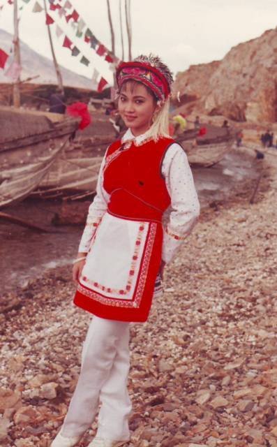 五朵金花的儿女+-+电视剧图片