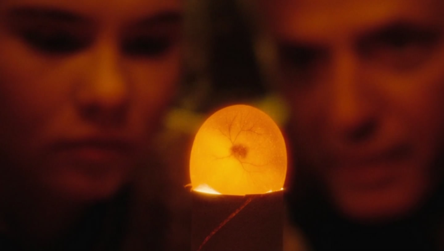 印度怦然心动电影海报