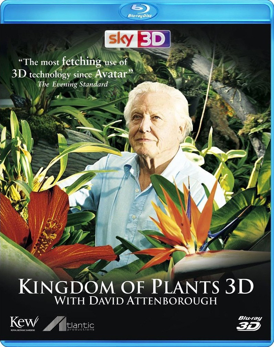 bbc:植物王国图片