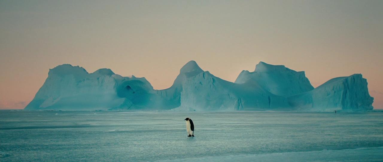 海洋(oceans)+-+电影图片