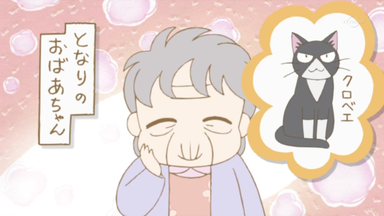 嘟嘟猫观察日记