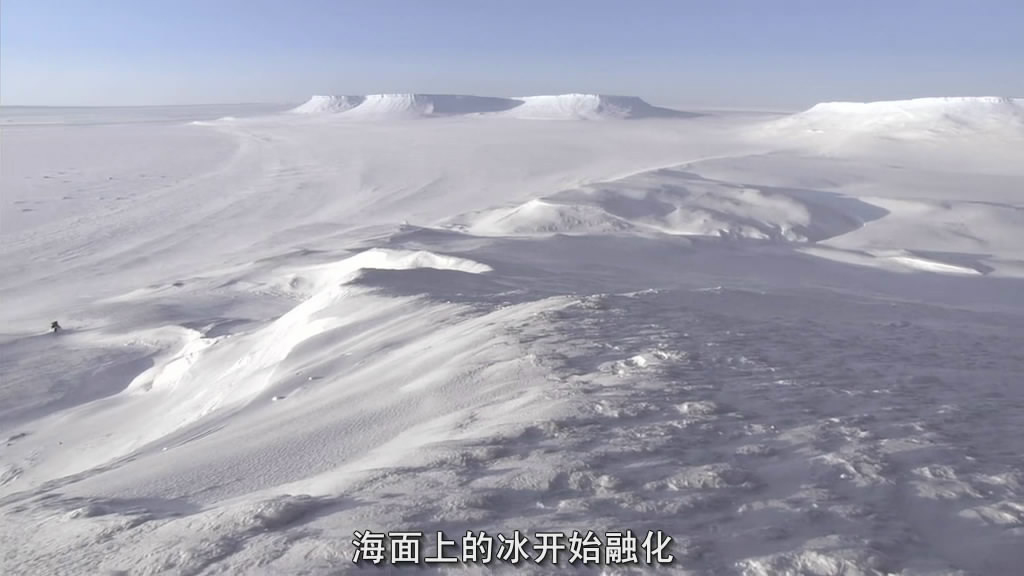 bbc:地球脉动