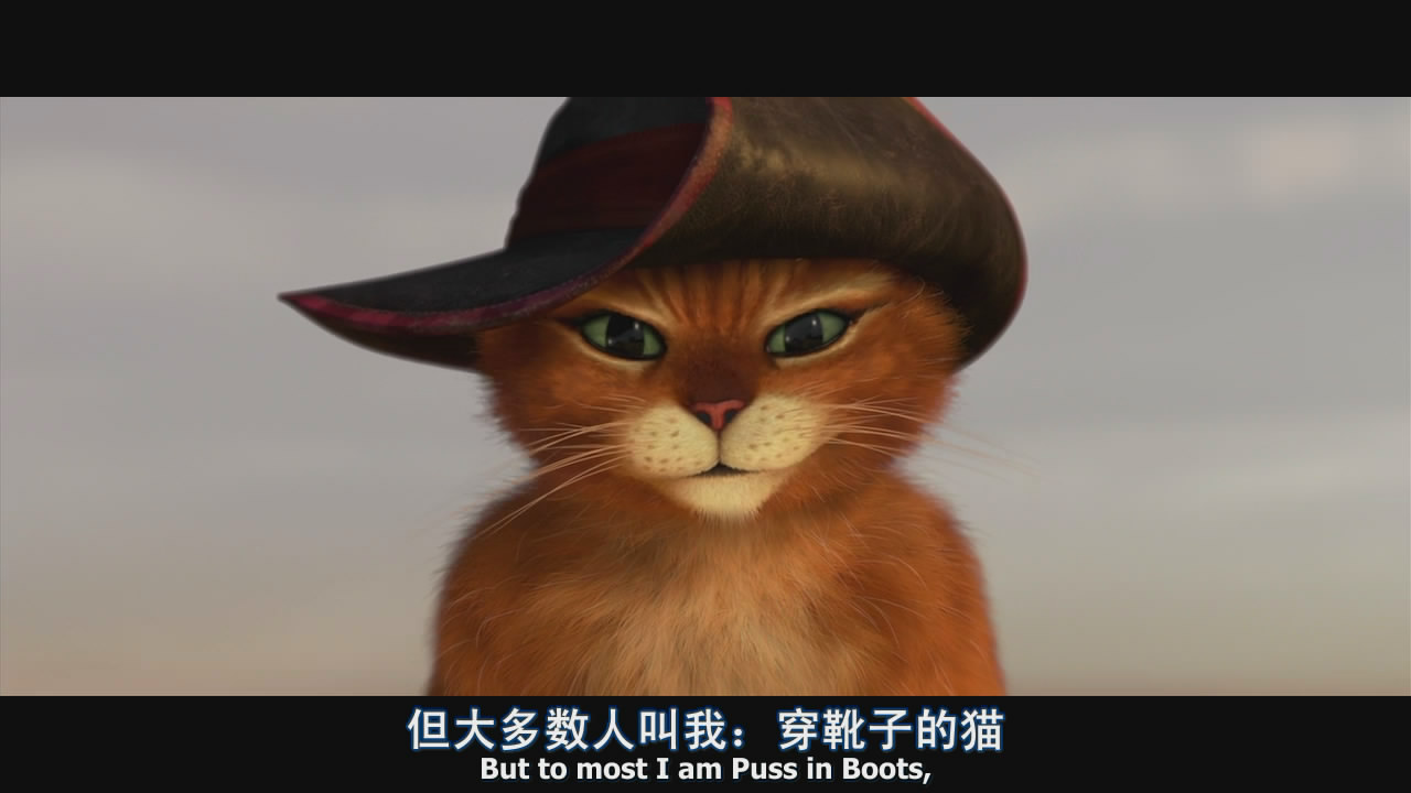 穿靴子的猫