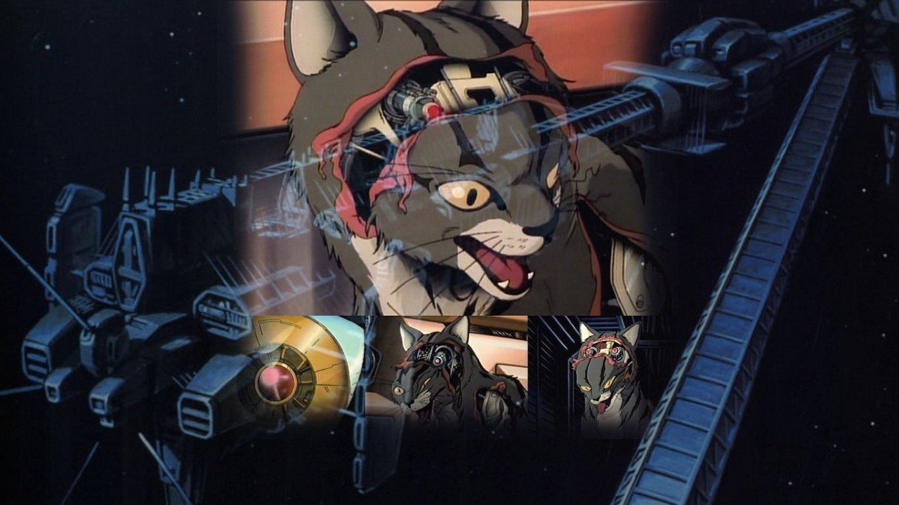 电驴大全 动漫 剧场版 灵猫c.a.