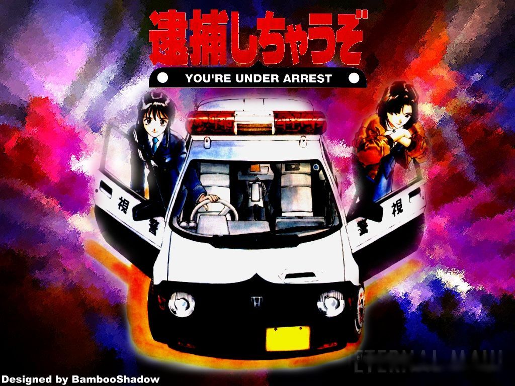 逮捕令 第一季(you"re under arrest!1st season)