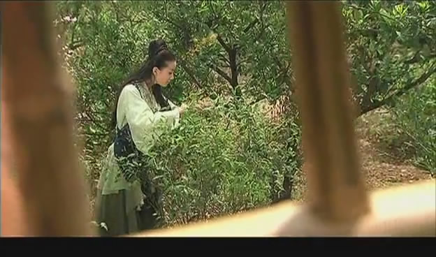 白蛇后传