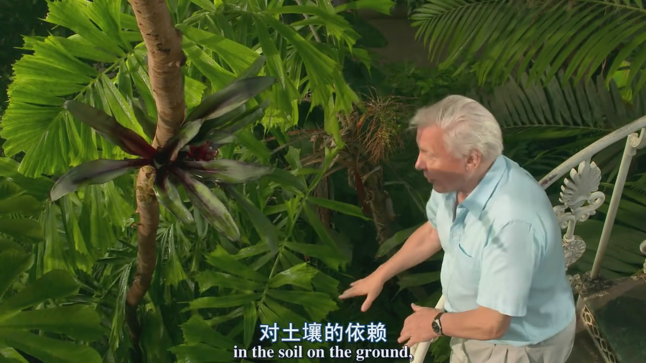 您的位置: 电驴大全 综艺 bbc:植物王国 图片 > 查看图片 关注更新