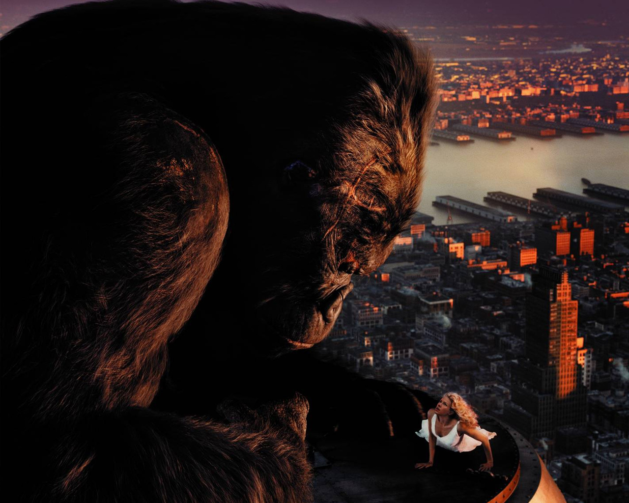 (king kong) - ӰͼƬ