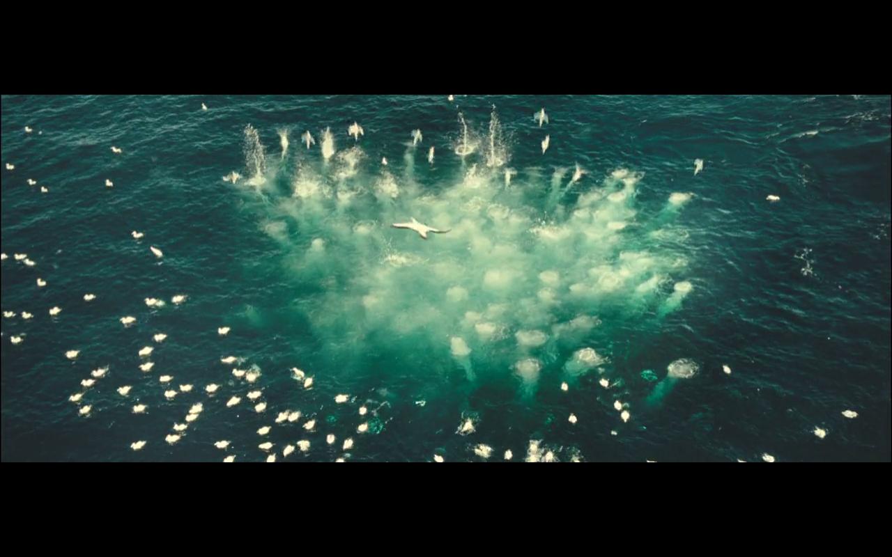 海洋(oceans)+-+电影图片