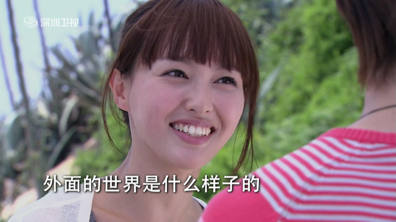 爱情真善美