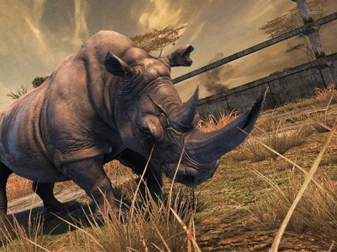 坎贝拉危险狩猎2013