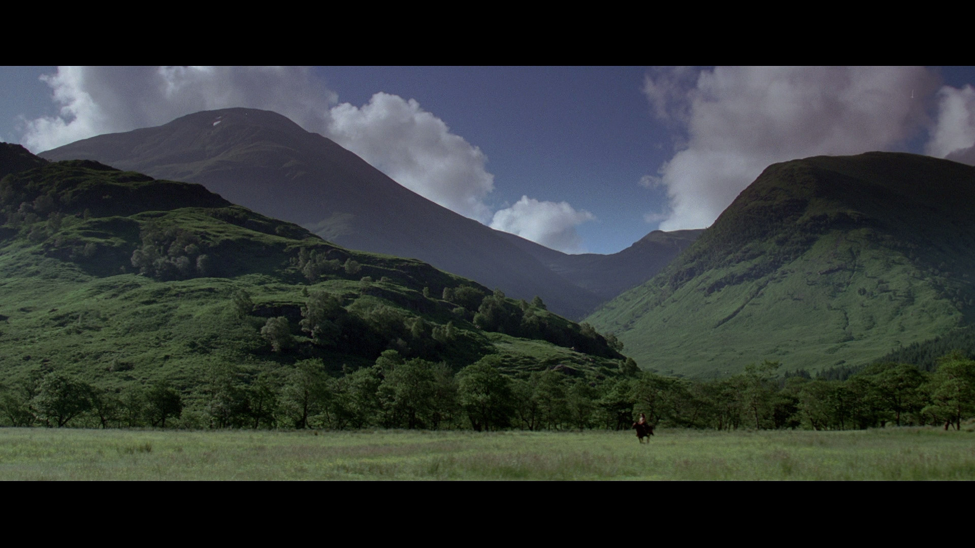 晚秋电影风景剧照