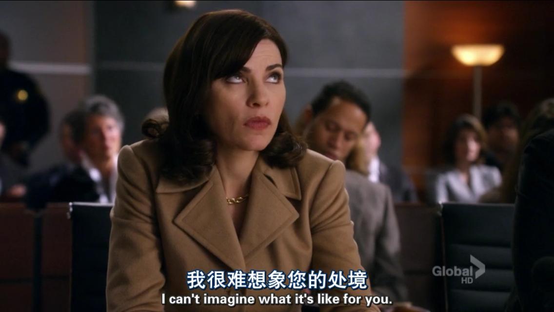 傲骨贤妻 第五季(the good wife season 5) - 电视剧图片 | 电视剧