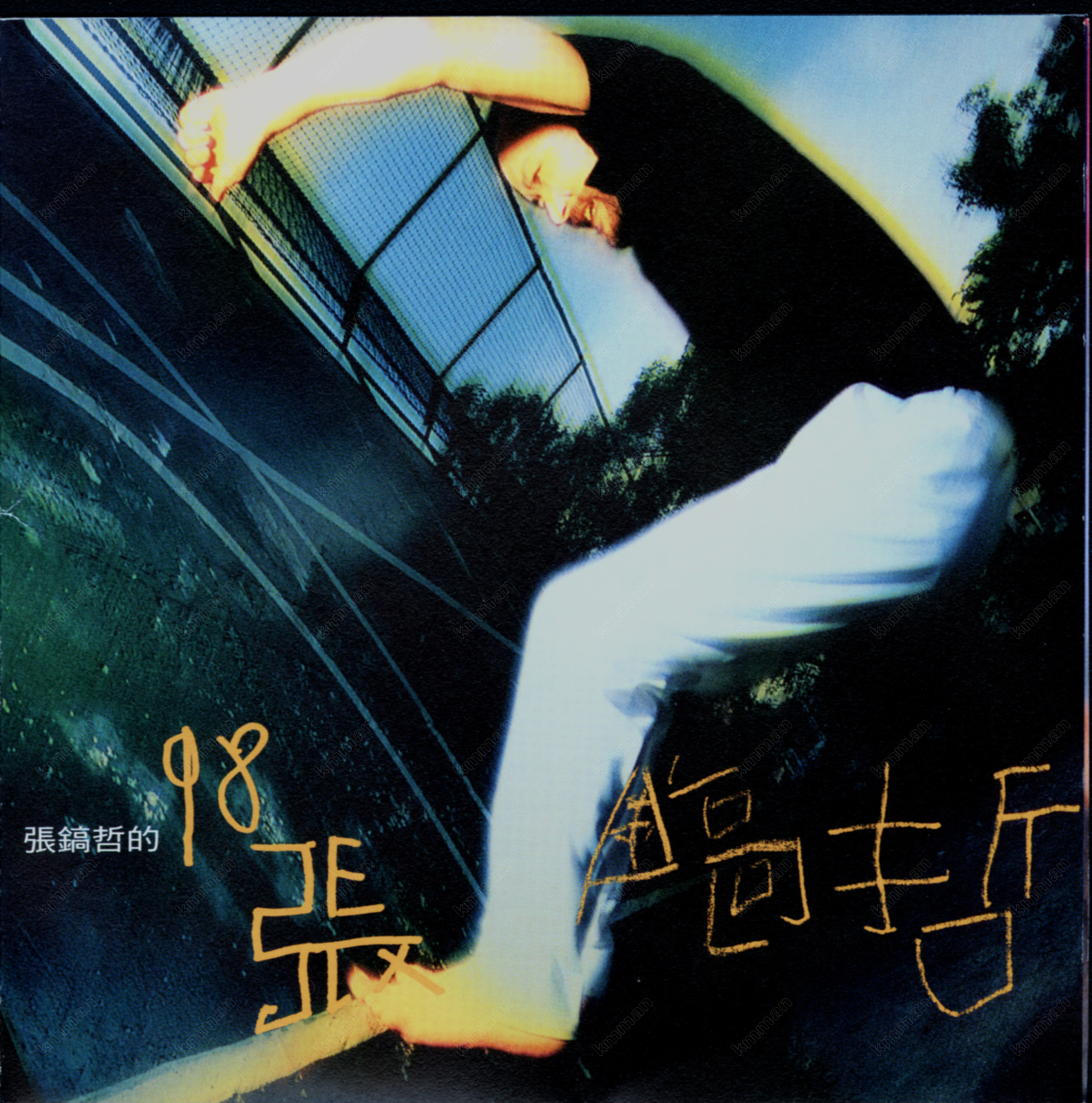 步入歌坛20年的张镐哲,已经发行过十几张个人专辑,歌唱实力雄厚的他