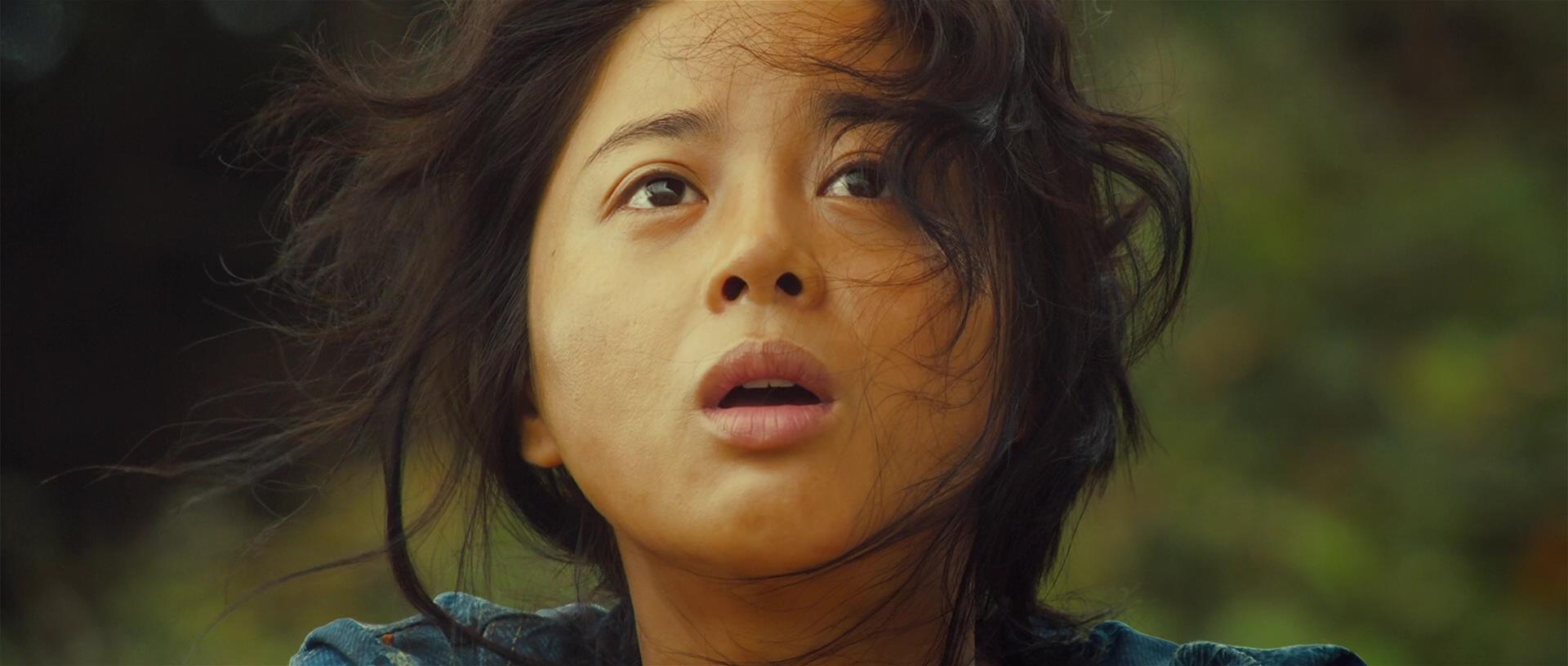 金福南杀人事件的始末(bedevilled)