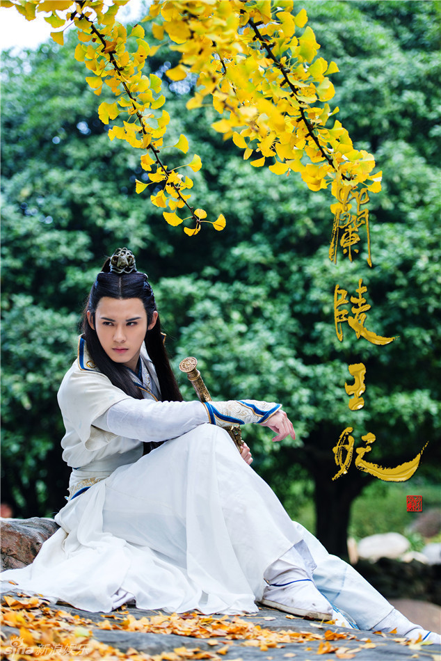 兰陵王妃 - 电视剧图片图片